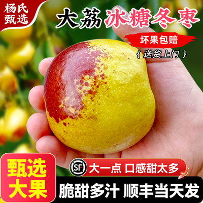 陕西大荔冬枣礼盒整箱