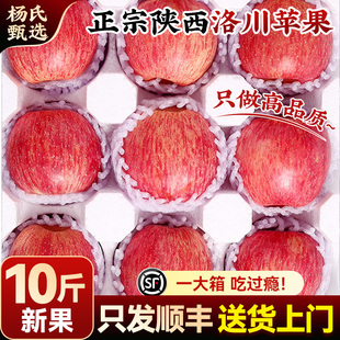 【10斤红富士】顺丰正宗陕西洛川苹果10斤红富士水果新鲜整箱当季