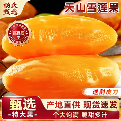 正宗云南天山雪莲果|脆甜多汁
