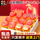 顺丰礼盒山东烟台正宗红富士苹果10斤新鲜水果当季 冰糖心栖霞平果