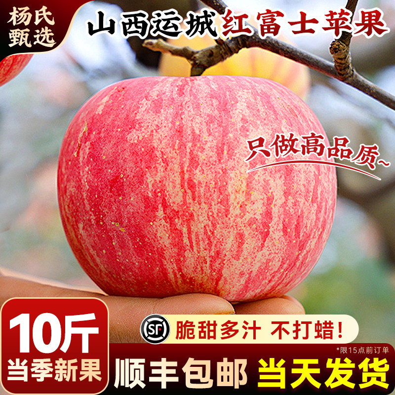 顺丰山西运城红富士苹果10斤正宗当季现摘新鲜水果丑甜冰糖心整箱,水产肉类/新鲜蔬果/熟食,苹果,淘宝优惠券,粉丝福利购,淘宝优惠卷