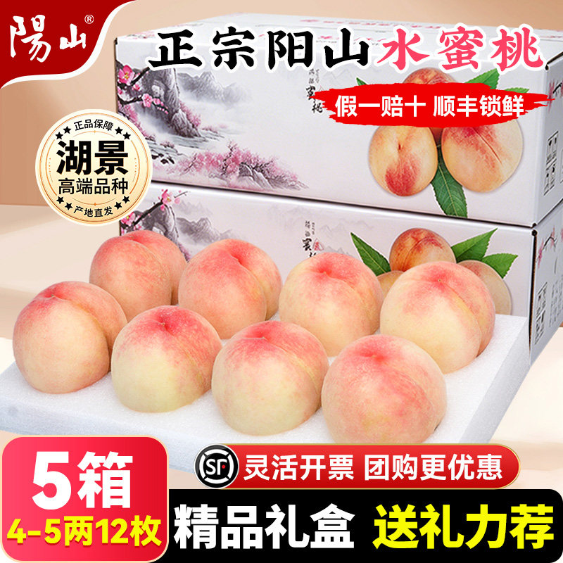【5箱精品礼盒4-5两12枚】