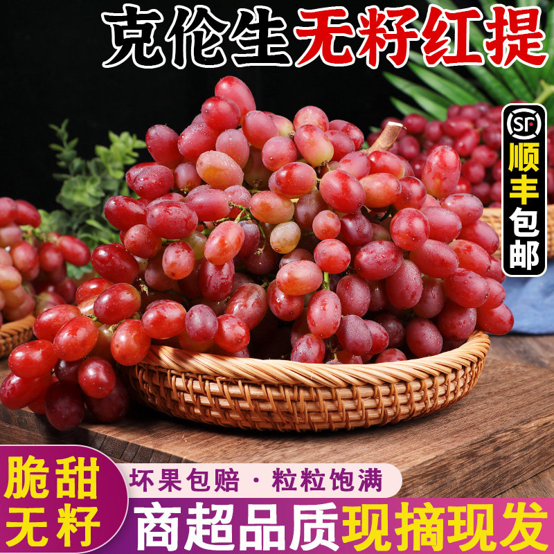 正宗克伦生无籽红提葡萄当季新鲜无籽脆甜鲜香多汁水果现摘整箱