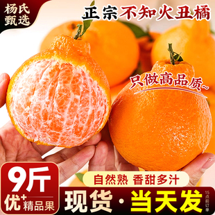 正宗四川不知火丑橘新鲜水果9斤耙耙粑粑丑柑桔子整箱包邮蜜桔10
