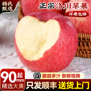 整箱冰糖心红富士 顺丰正宗陕西洛川苹果水果新鲜应当季 90mm起