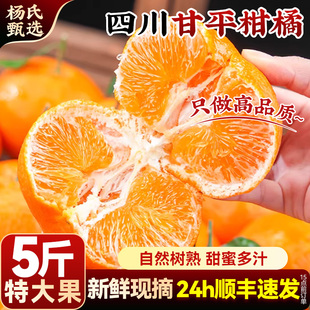 【5斤】顺丰四川甘平柑橘皇后当季新鲜现摘正宗水果蜜桔子橘包邮