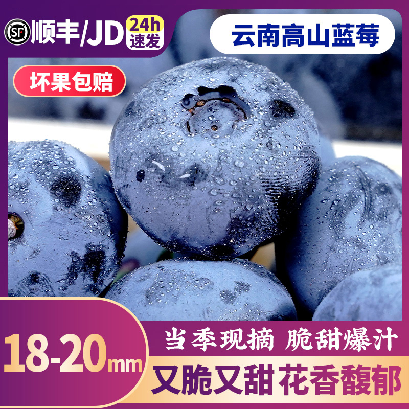 【门店直播专享】云南花香高山蓝莓新鲜水果当季现摘特大果兰整箱