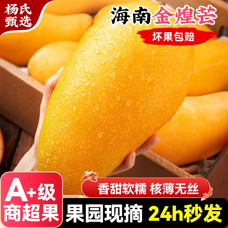 ���â�������8�ﾫƷ����â������ˮ����������ȴ�ʱ��