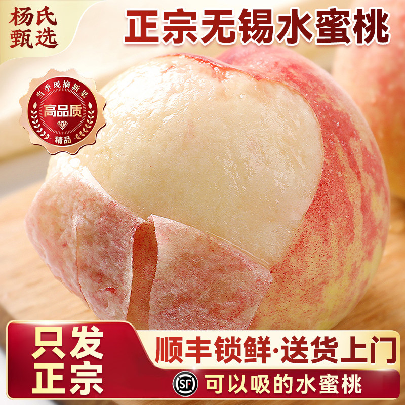 正宗无锡水蜜桃子现摘新鲜高端水果阳整箱应当季毛白凤山湖景礼盒