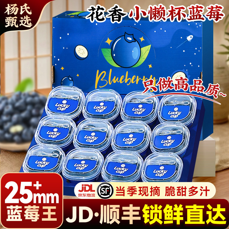 云南高山花香蓝莓l25新鲜水果特大当季整箱小懒杯礼盒blueberry