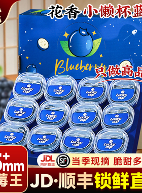 云南高山花香蓝莓l25新鲜水果特大当季整箱小懒杯礼盒blueberry