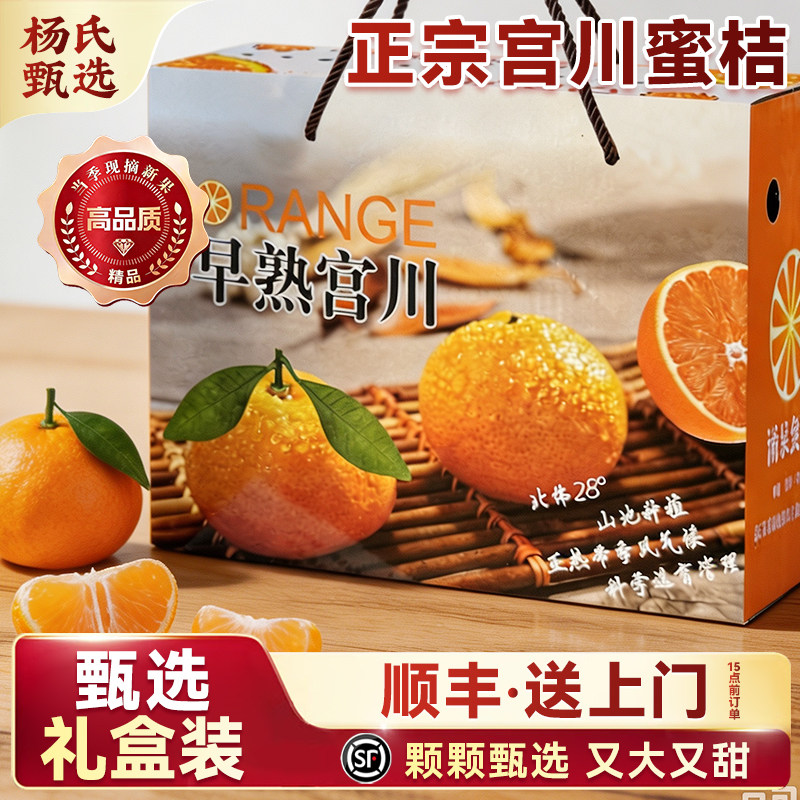 云南蜜橘新鲜桔子绿皮