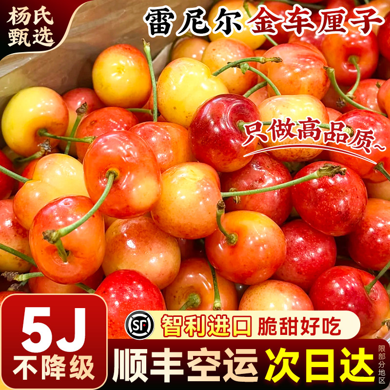 【智利进口】顺丰礼盒雷尼尔黄金车厘子新鲜5斤4jjjj高档水果樱桃