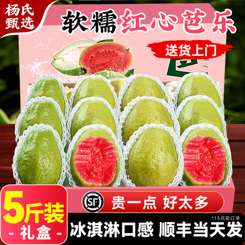 【5斤】红心芭乐番石榴顺丰礼盒