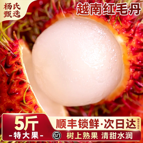 越南进口红毛丹|东南亚