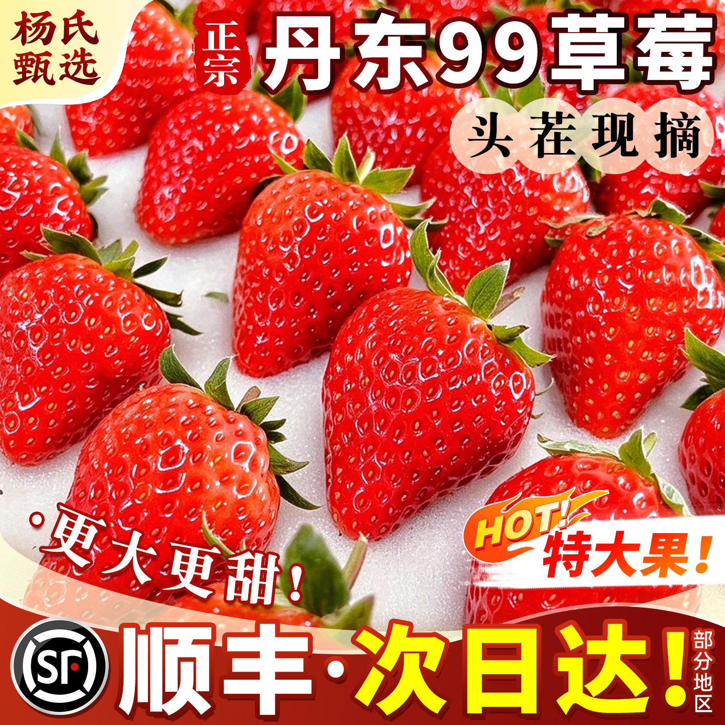 丹东99大草莓顺丰包邮