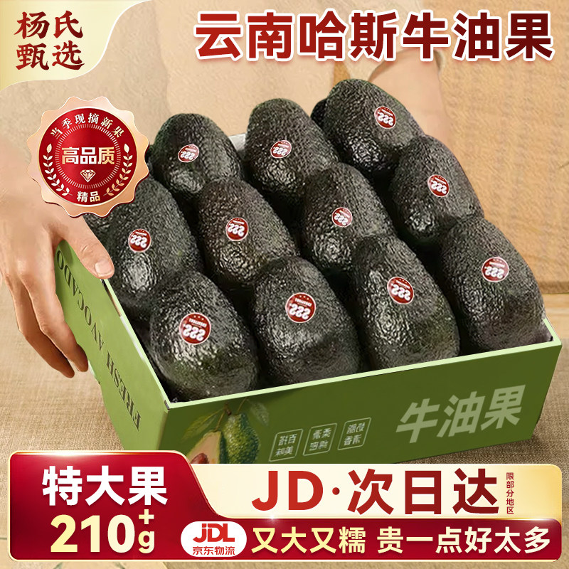云南哈斯牛油果即食细腻口感