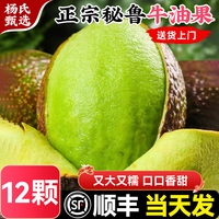 【12個】秘魯進口牛油果一級新鮮水果當季整箱即食鱷梨墨大果西哥