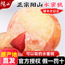 时令水果新鲜湖景顺丰礼盒 官方旗舰店 正宗无锡阳山水蜜桃当季