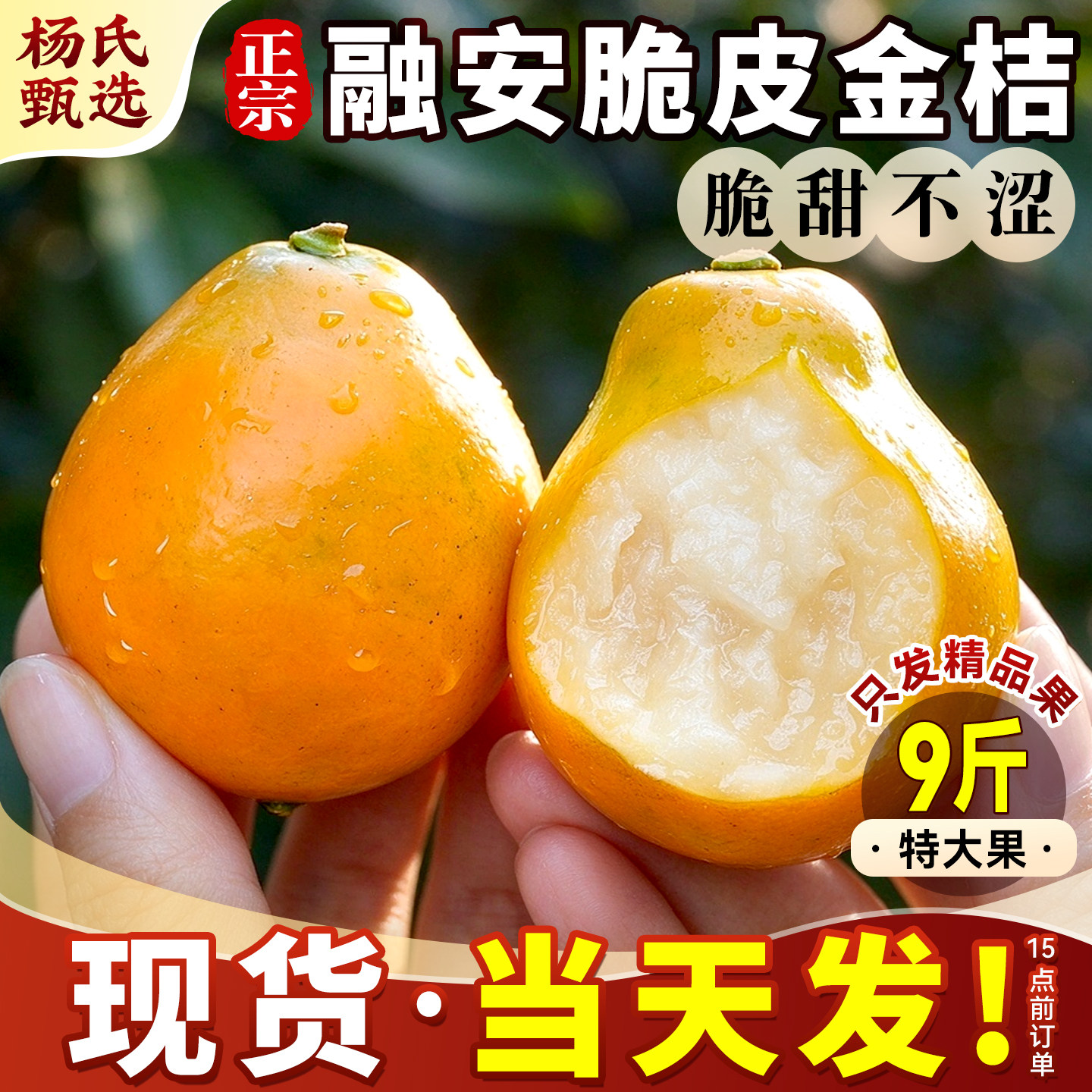 正宗广西融安脆皮金桔新鲜水果应当季蜜橘桔子柑孕妇脆甜整箱包邮