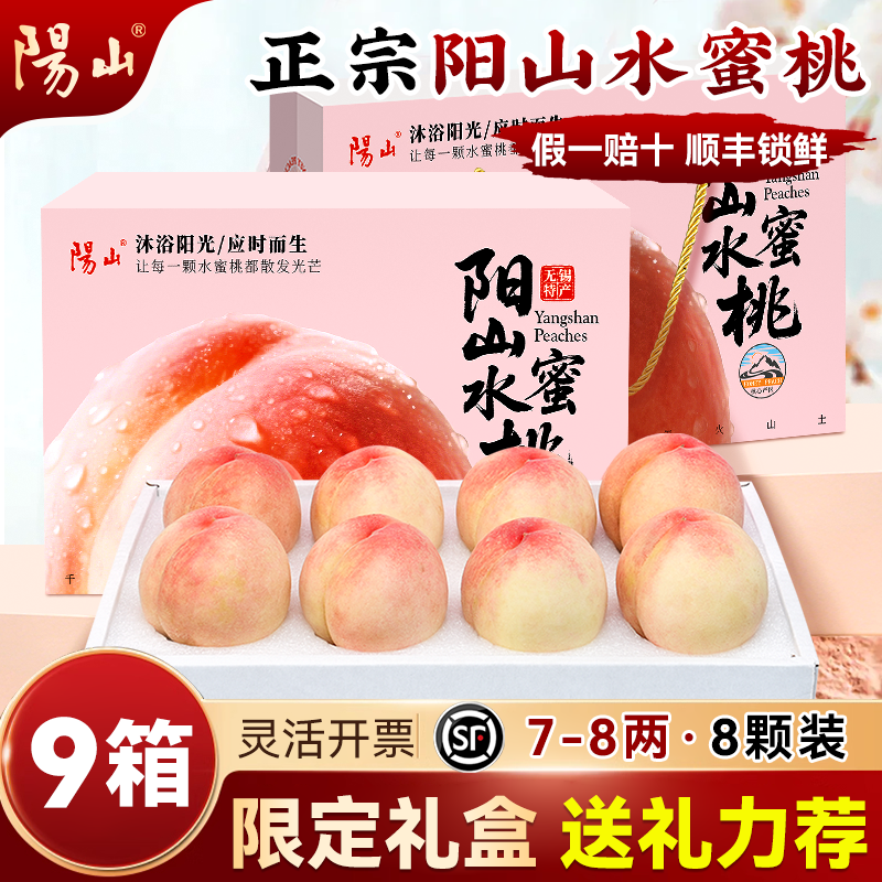 【9箱限定礼盒7-8两8枚】