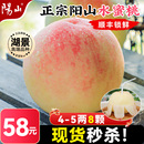 正宗无锡阳山水蜜桃子新鲜水果当季 5两8枚 直播秒杀 整箱礼盒