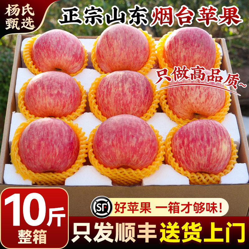 【10斤整箱】顺丰山东烟台红富士苹果水果当季冰糖心栖霞平果正宗