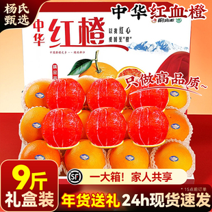 正宗九月红秭归血橙子果冻新鲜水果应季10斤大果产地直发冰糖甜