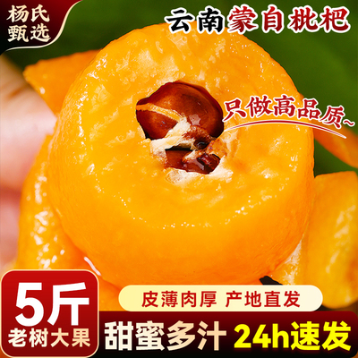 【5斤大果】正宗云南蒙自甜枇杷新鲜水果当季琵琶枇杷现摘树上熟