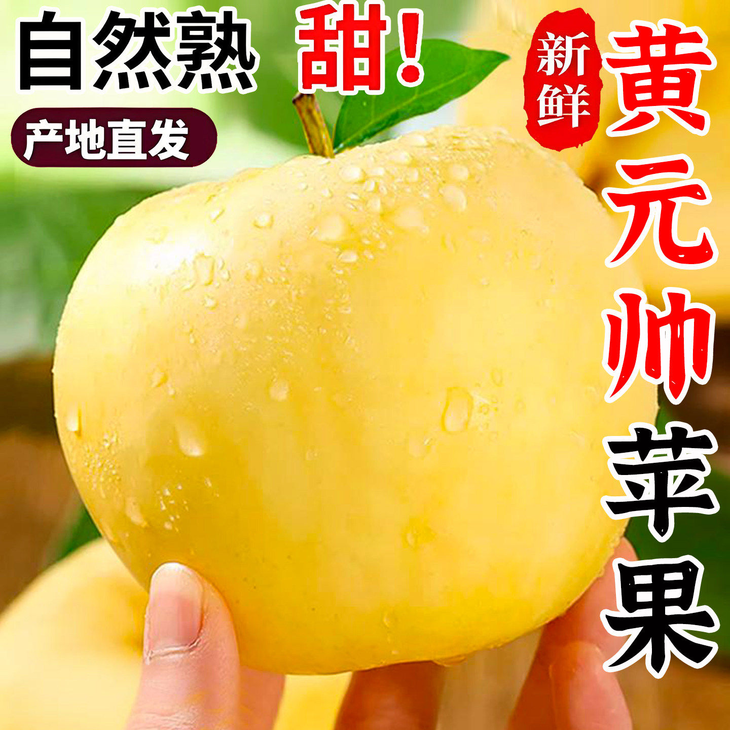 正宗黄元帅苹果9斤新鲜水果应当季粉面黄金帅烟台黄香蕉平果整箱