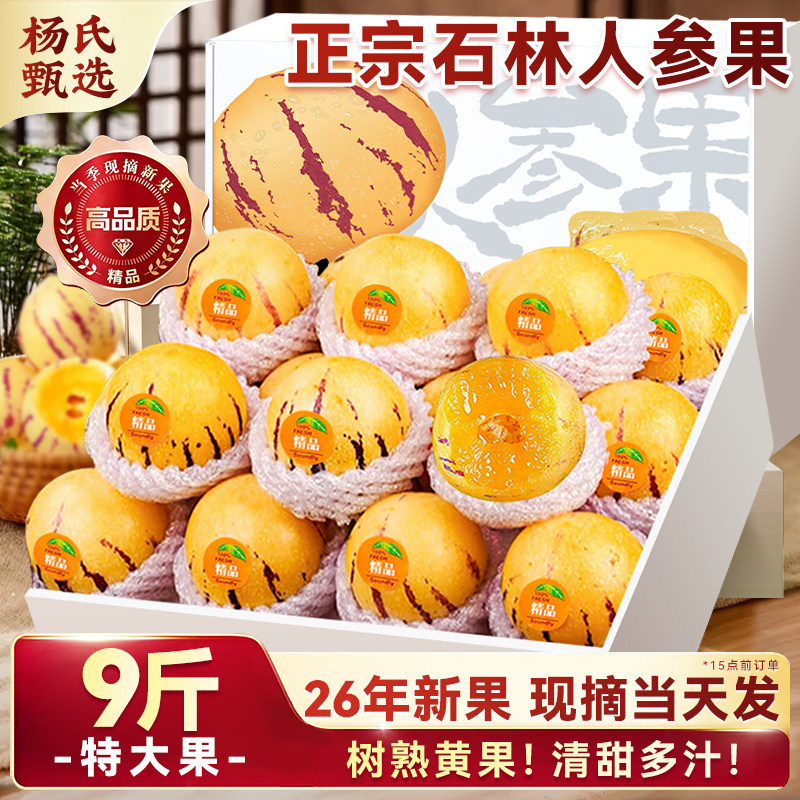 云南石林人参果新鲜水果树上熟9斤一级特大礼盒装当季黄心肉整箱