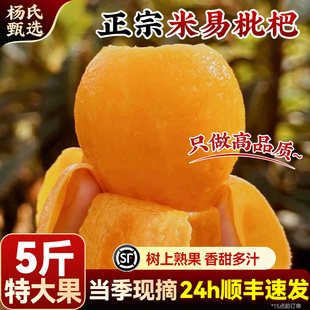 顺丰礼盒5斤特级攀枝花米易枇杷新鲜现摘四川大琵琶水果当季包邮