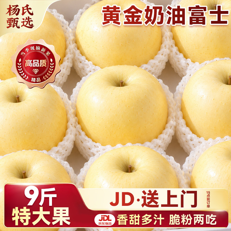 黄金奶油富士苹果正宗山东烟台应当季新鲜水果时令现摘甜整箱包邮