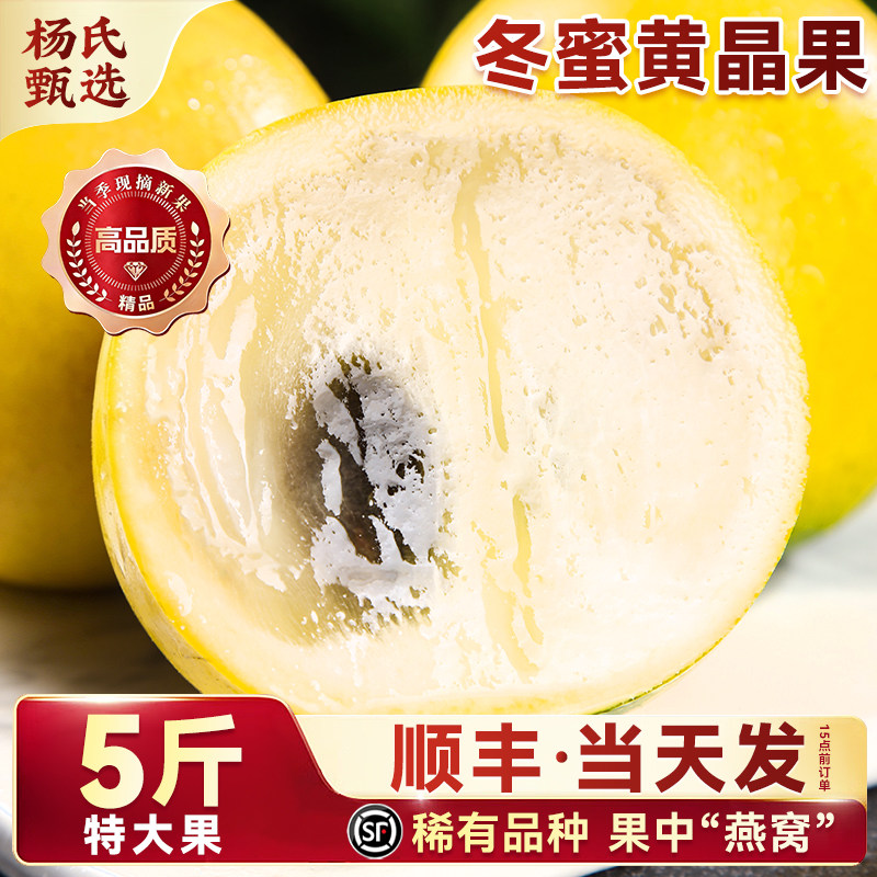 正宗云南黄晶果冬蜜新鲜现摘
