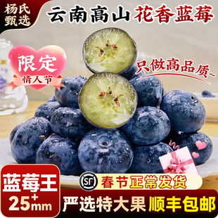 云南花香蓝莓特大新鲜水果现摘L25一斤礼盒装当季整箱官方旗舰店