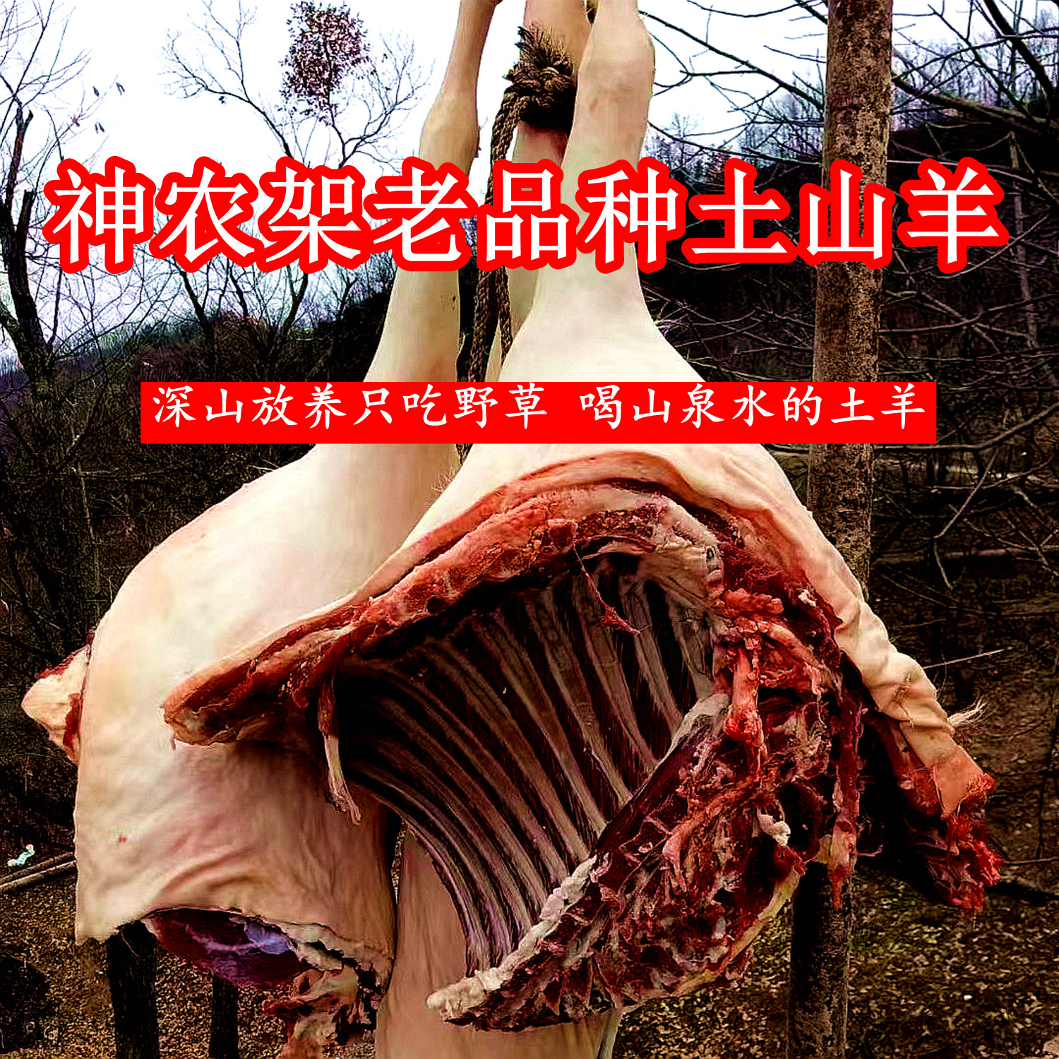 神农架老品种土羊肉带皮带骨排骨