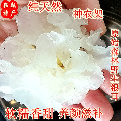 新货野生神农架银耳白木耳椴木银耳干货无硫新鲜雪耳500g软糯稠