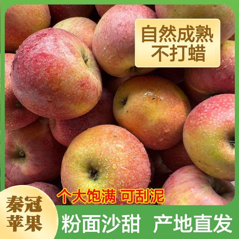 陕西秦冠苹果当季新鲜水果冰糖沙甜老人粉面宝宝刮泥整箱批发包邮