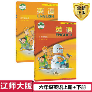 课本教材教科书辽宁师范大学出版 英语六6年级上下册2本 三年级起点 2024适用辽师大版 社辽师版 正版 英语六年级上下册2本套装 包邮