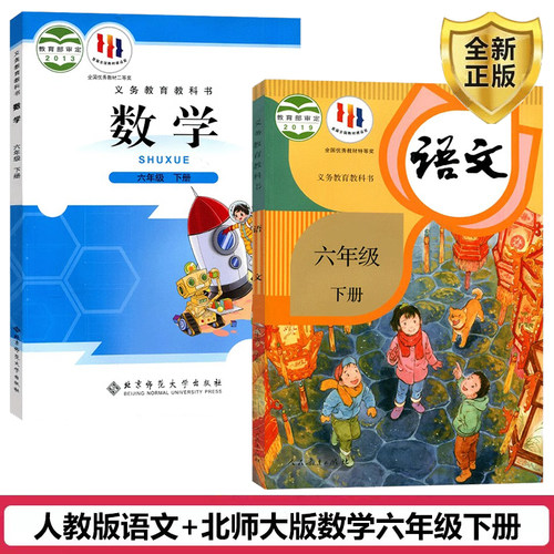 现货六年级下册人教语文北师数学