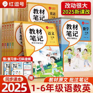 2025新红逗号教材笔记小学课堂笔记一二三四五六年级下册语文数学英语人教版小学同步课本教材讲解全解随堂预习学霸笔记课堂预复习