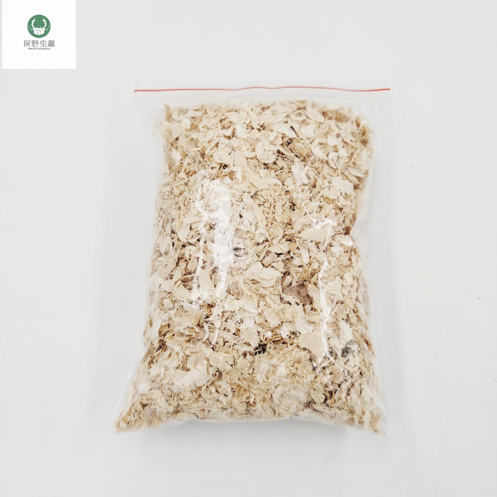 甲虫独角仙成虫锹甲兜虫成虫垫材木屑仓鼠刨花