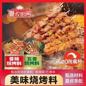 夏叔厨房烧烤调料撒料家用五香烤肉调料家用羊肉烧烤调味料大全