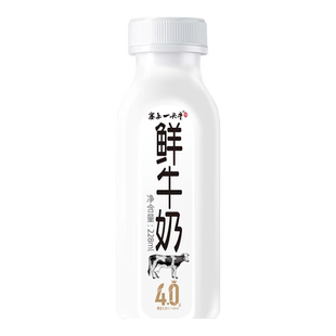塞上一头牛4.0鲜牛奶巴氏杀菌228ml*4瓶全脂营养早餐奶低温鲜奶