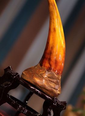 披毛犀原角整体保存完整终身保真清晰家居办公摆件