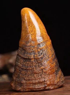 高端文玩摆件老亚牛角原皮整角 角尖摆件 珍藏工艺品收藏佳品摆件