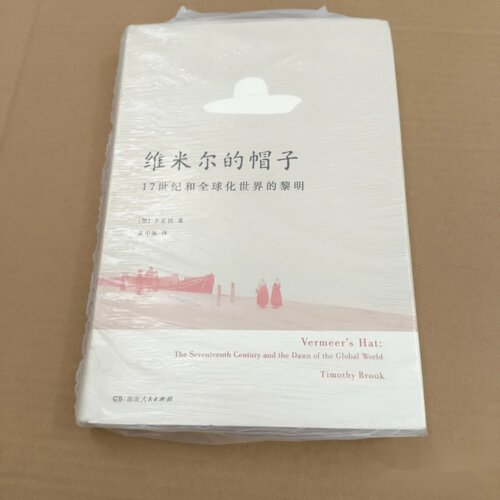 维米尔的帽子 [加] 卜正民 黄中宪 湖南人民出版社