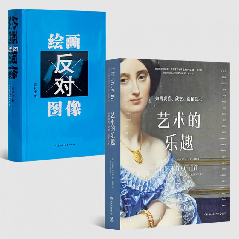 【含签名版】汪民安《绘画反对图