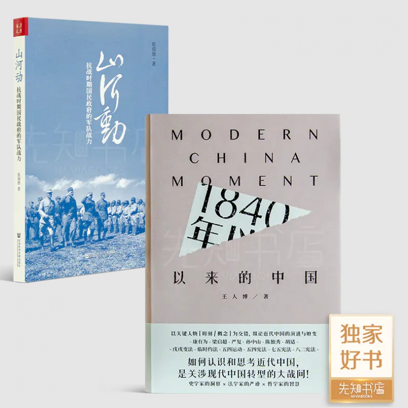 《山河动：抗战时期国民政府的军