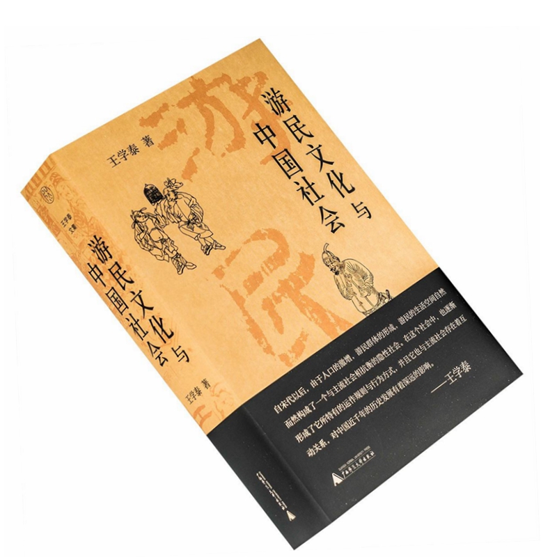 全新正版 游民文化与中国社会作者: 王学泰 出版社: 广西师范大学出版社 9787559858603怎么看?